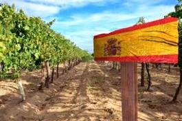 Ontdek onze Spaanse wijnen